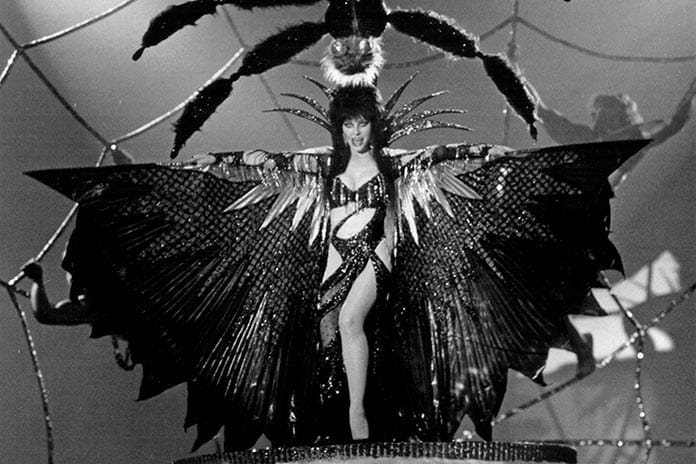 Elvira, a Rainha das Trevas (1988)