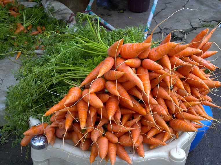 Carrot