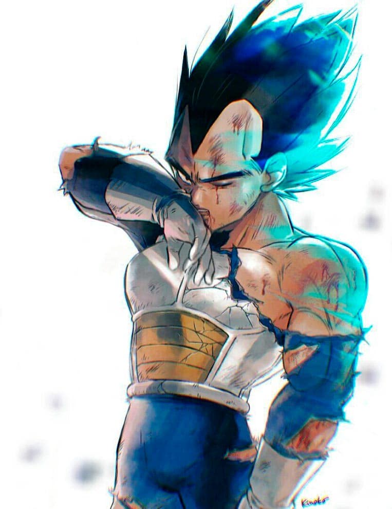 Vegeta roupa rasgada 07