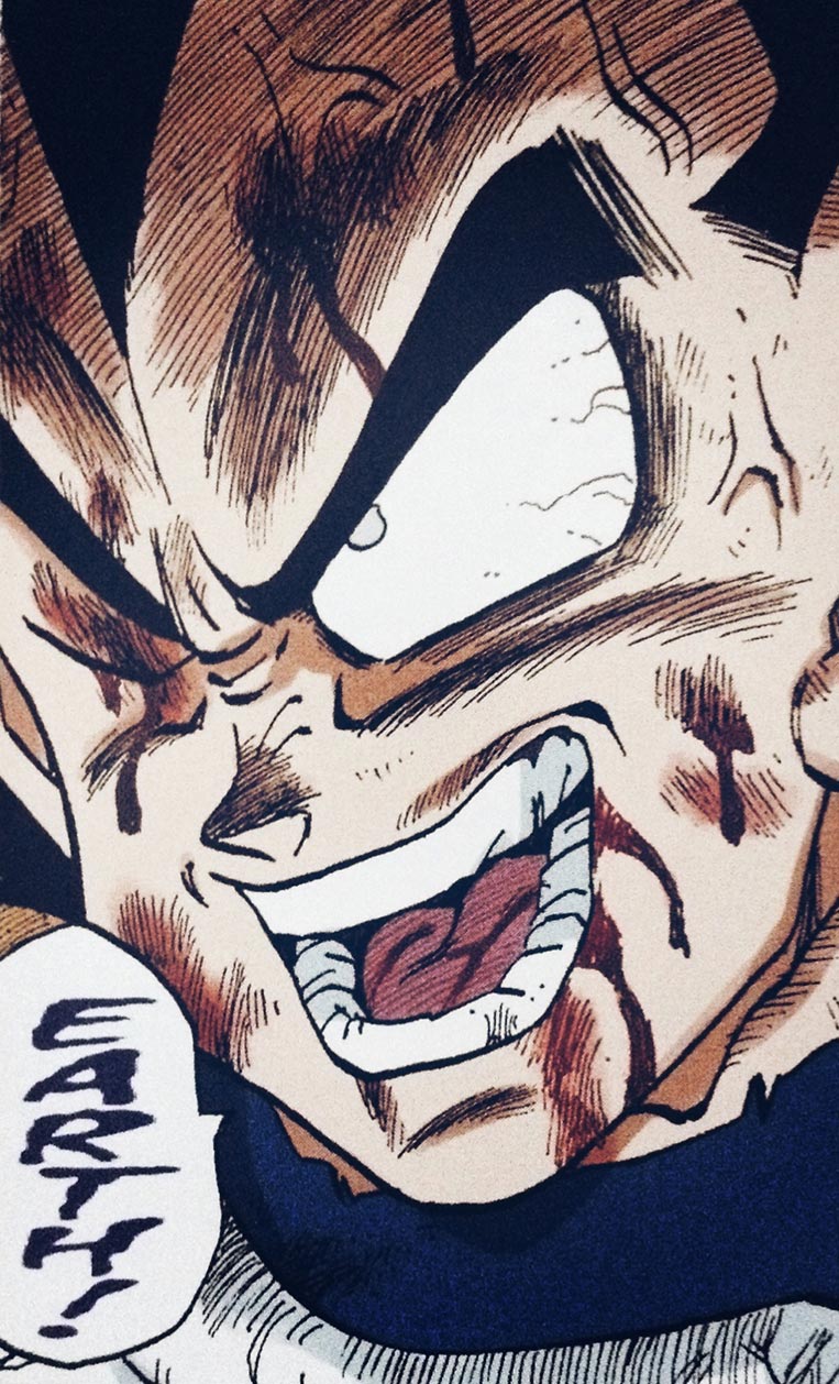 Vegeta machucado 09