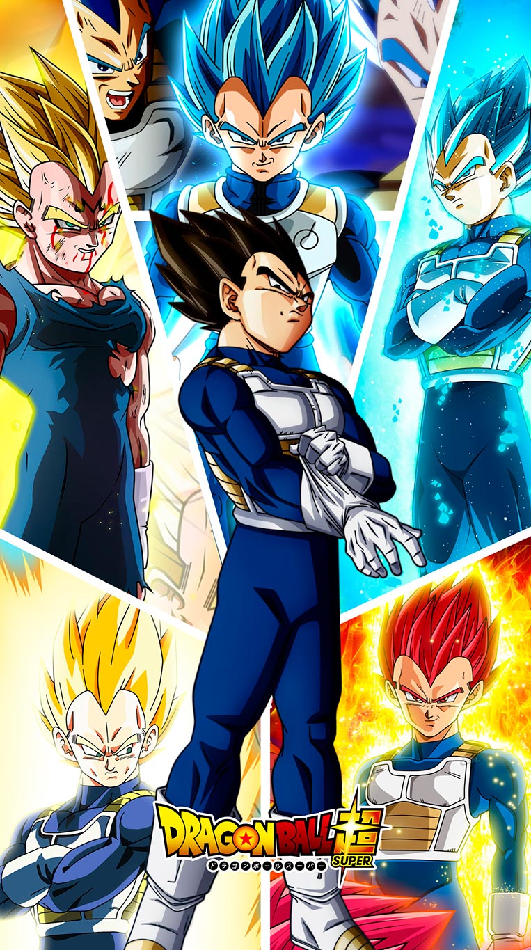 Vegeta todas as transformações 20