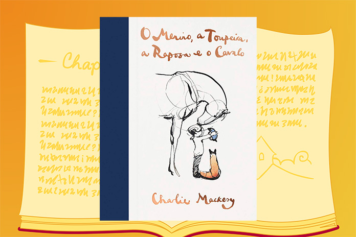 Livros com Capas Bonitas