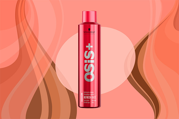 Shampoos a Seco