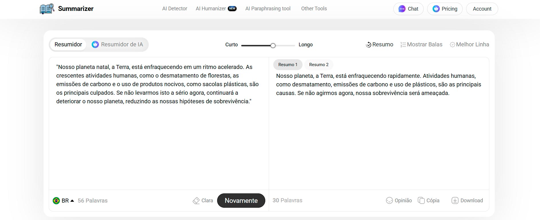 Resumidor de Texto Summarizer - Resumo 1