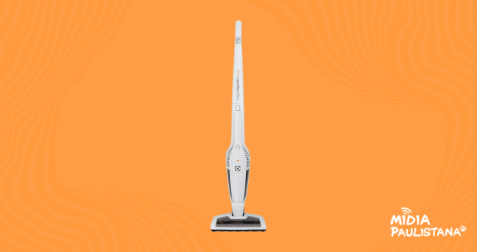 Aspirador de Pó Vertical Ergorapido ERG21